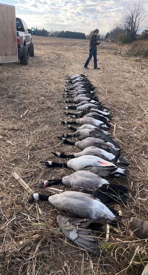 Early Season Goose Hunts in Wisconsin