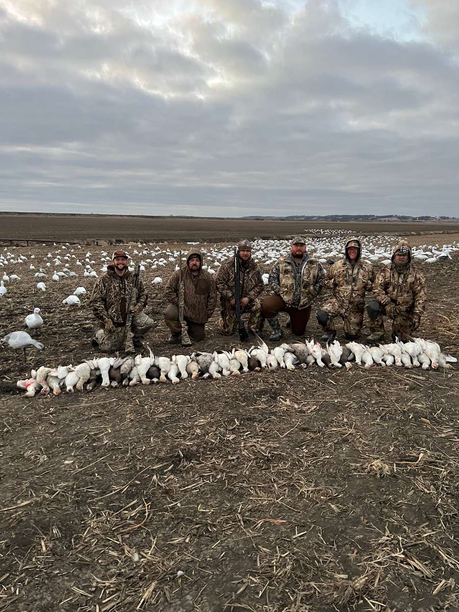 Mississippi Spring Snow Goose Hunt