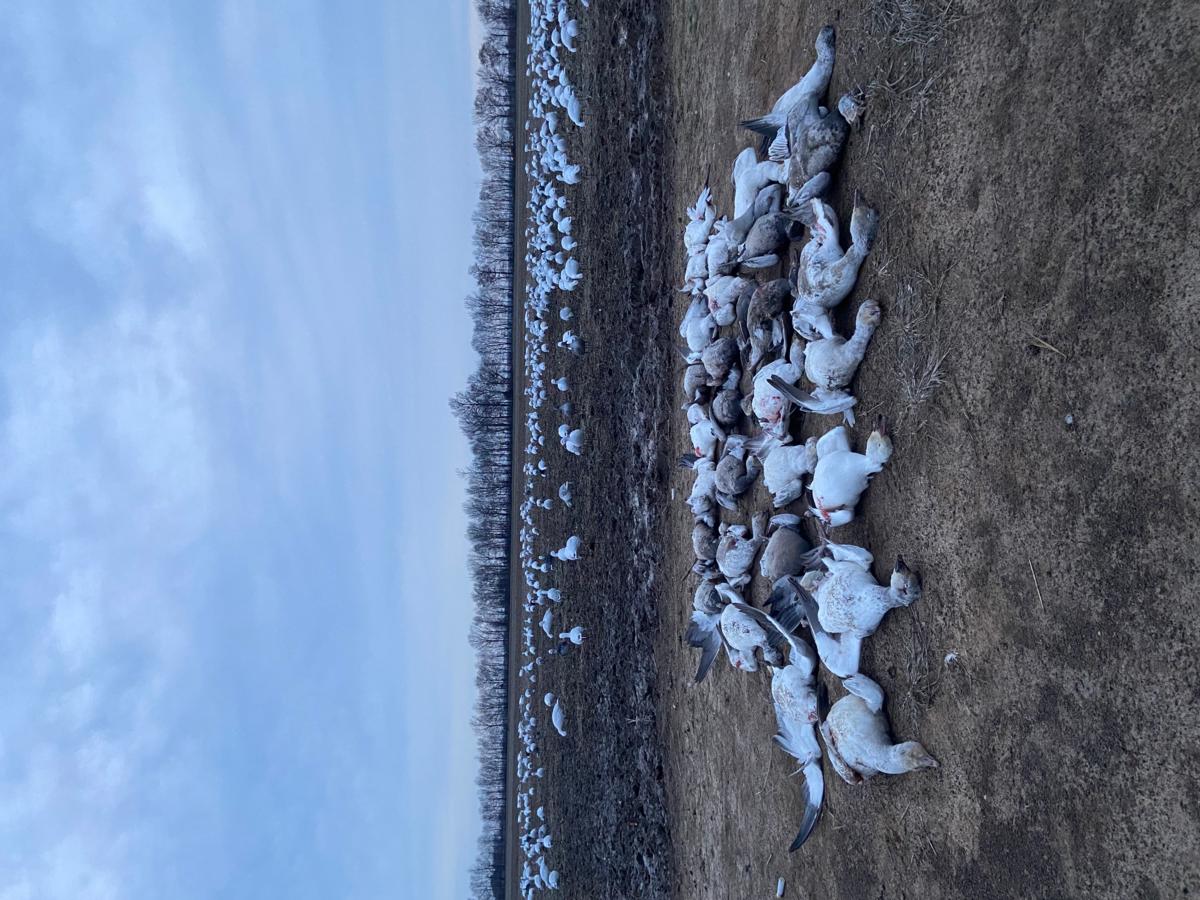 Daniel Pate Daniel Pate