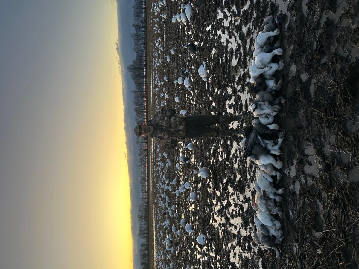 Dawson Bell Dawson Bell